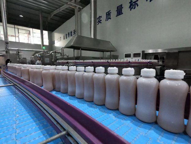 紅茶菌飲品生產車間